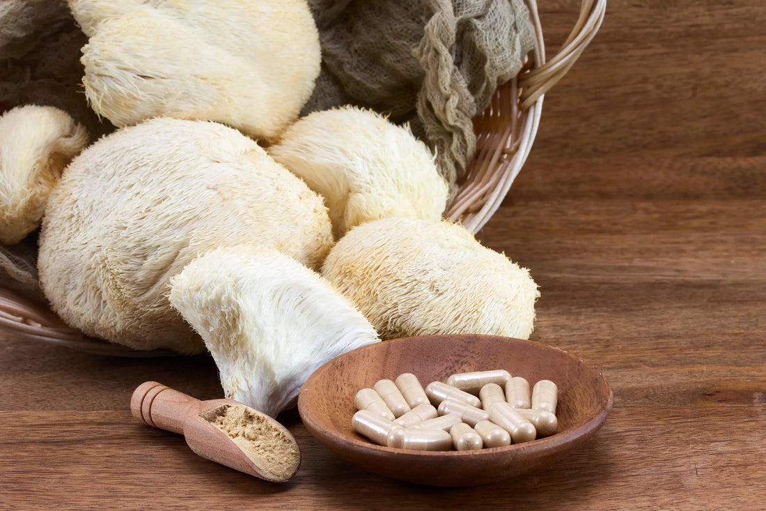 Unlocking the Power of Lion's Mane: A Natural Ally Against Neuroinflammation and Cognitive Decline in Alzheimer's and Dementia