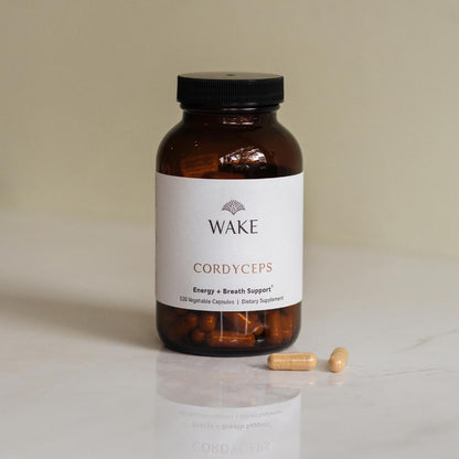 Cordyceps